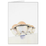 Egg Carton Card