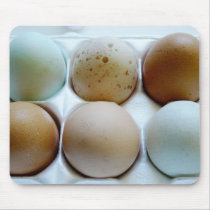 Egg Carton full of assorted coloured eggs
