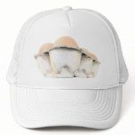Egg Carton Hat