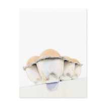 Egg Carton Postcard