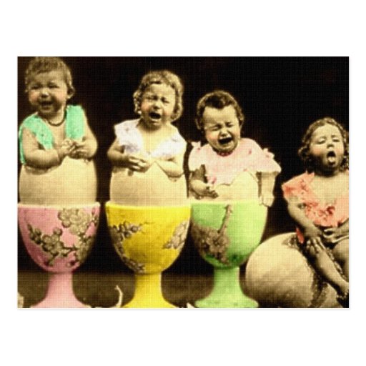 Egg Cup Babies Post Cards