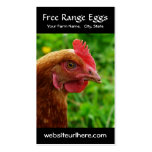Egg Farming Rural Chicken Photo Business Cards