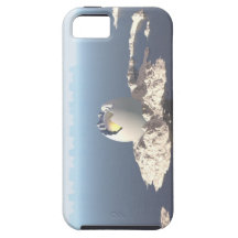 Egg Island iPhone 5 Cover