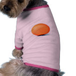 Egg On The White Background pet clothing