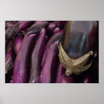 Egg Plant Print