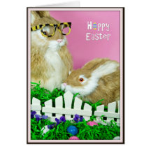 Egg Sighting Cards