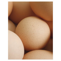 Eggs Flyers