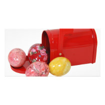 EggsMailbox051409