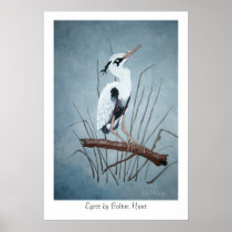 Egret by Colton Hunt Poster