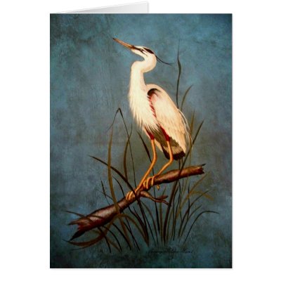Egret Greeting Cards by SherryHolderHunt