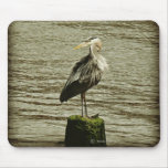 Egret Mouse Pads