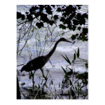 Egret on a Stroll Postcard