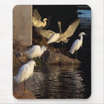 Egrets Dawn Mousepad by farmer77