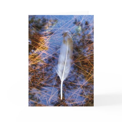 Egret's Feather Cards by moonrisings