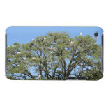 Egrets in a Tree iPod Touch Case Mate Case