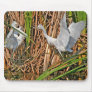 Egrets Mousepad