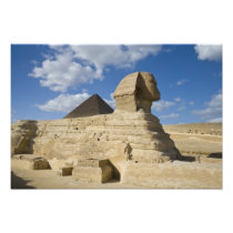 Egypt, Giza. The great Sphynx rises above the 2