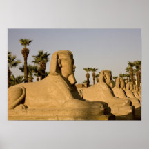 Egypt, Luxor. The Avenue of Sphinxes leads to Print