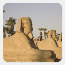 Egypt, Luxor. The Avenue of Sphinxes leads to Square Sticker
