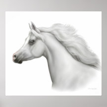 Egyptian Arabian Horse Print