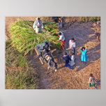 Egyptian Farmers and Cart Poster