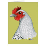 Egyptian Fayoumi:  Silver Hen