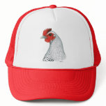 Egyptian Fayoumi:  Silver Hen