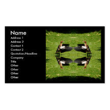 Egyptian Goose Business Card Templates