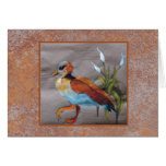 Egyptian Goose Greeting Cards