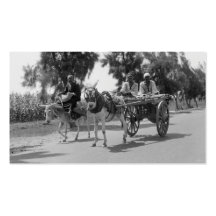 Egyptians with Carts and Donkeys circa 1934 Business Card Template