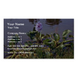 Eichhornia Crassipes (Water Hyacinth) Pink flowers Business Card Templates