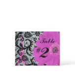 Eiffel Tower Gerber Table Number Cards Post Card