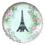 Eiffel Tower Pink Roses and Zebra Print