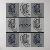 Eight Ears Print