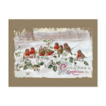 Eight English Robins on Holly Vintage Christmas Postcard