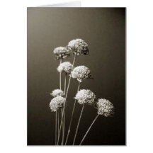 Eight Pods Card