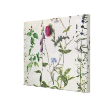 Eight Studies of Wild Flowers Stretched Canvas Prints