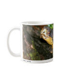 Einstein 01 mugs