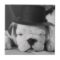 "Einstein" English Bulldog Puppy Tiles