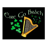 Eire Go Brach Postcard