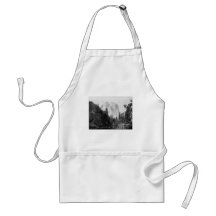 El Capitan ~ Yosemite National Park 1866 Aprons