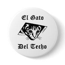 El Gato Del Techo
