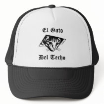 El Gato Del Techo