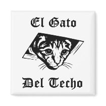 El Gato Del Techo