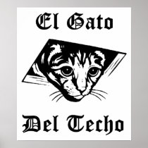 El Gato Del Techo