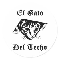 El Gato Del Techo