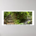 "EL GUACHARO" NATIONAL PARK - MONA... PRINT