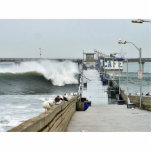 El Nino Waves Piers Ocean Seagulls Photo Cut Outs