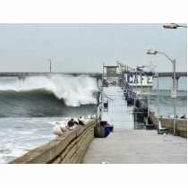 El Nino Waves Piers Ocean Seagulls Photo Cutouts