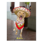 El Perro Post Cards